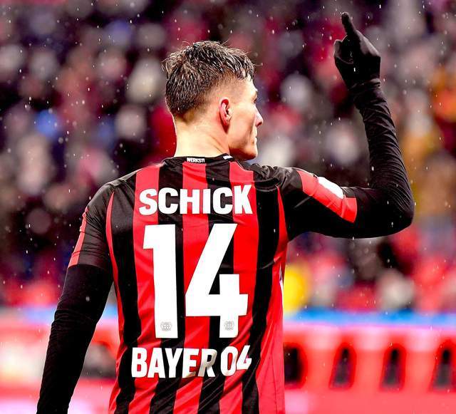 可能会决定 可能会决定